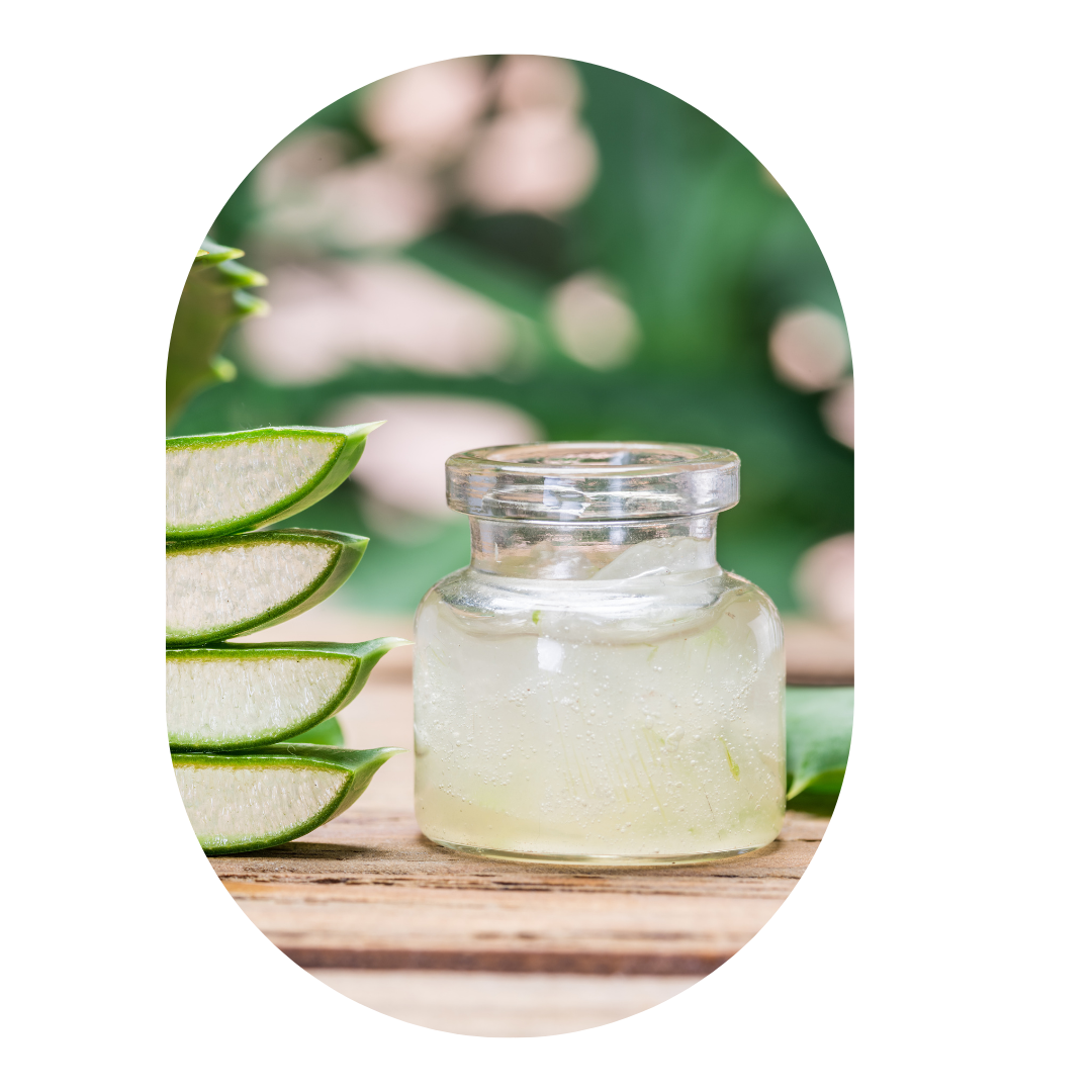 RESERVA Taller Fes El Teu Antimosquits | 20 Juny 2025